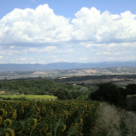 Hotel Sangallo Montepulciano Bagian luar foto