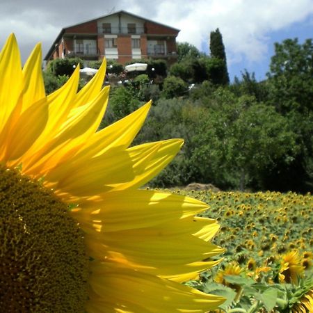 Hotel Sangallo Montepulciano Bagian luar foto